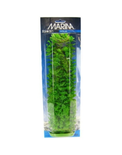 Marina Aquascaper Ambulia Plant - 15" Tall