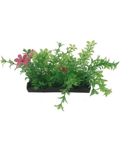 Penn Plax Green and Pink Bunch Plants Medium - 1 count