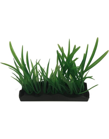 Penn Plax Harigrass Bunch Plant Medium - 1 count