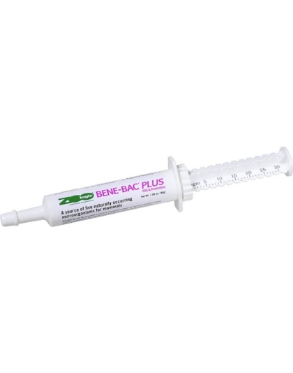 Pet Ag Zoologic Bene-Bac Plus Mammal Gel - 30g Syringe