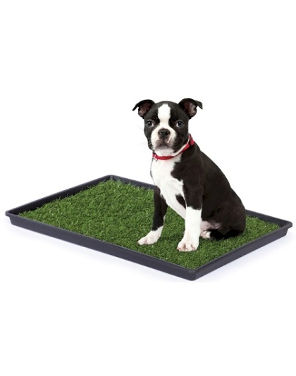 Tinkle Turf - Small