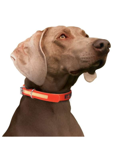 Orange - Play Glow Collar - 18"x1"