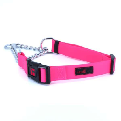 Pink - Play Martingale Collar - 16"-22" x 1"