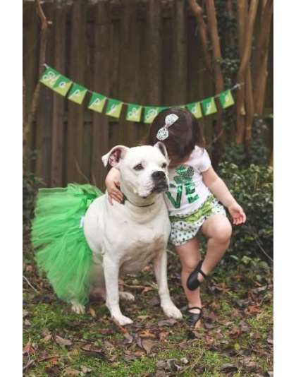 Green - Green Christmas Dog Tutu Skirt (XS) - XS