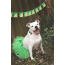 Green - Green Christmas Dog Tutu Skirt (XS) - XS