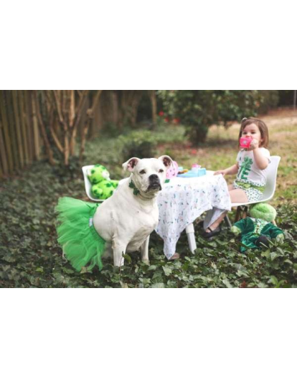 Green - Green Christmas Dog Tutu Skirt (Large) - Large