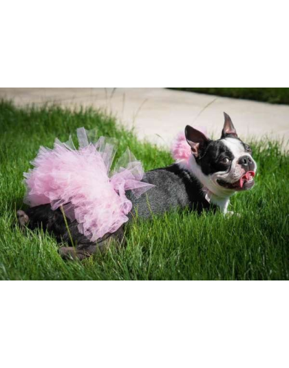 Light Pink - Light Pink Dog Tutu Skirt (Medium) - Medium