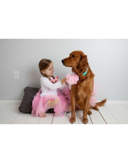 Light Pink - Light Pink Dog Tutu Skirt (Medium) - Medium