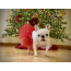 Red - Red Christmas Dog Tutu Skirt (Medium) - Medium