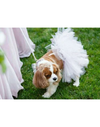 White - White Bridal Dog Tutu Skirt (XS) - XS