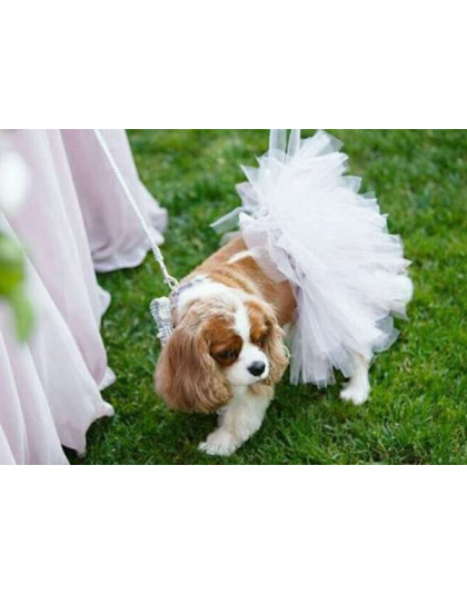 White - White Bridal Dog Tutu Skirt (XS) - XS