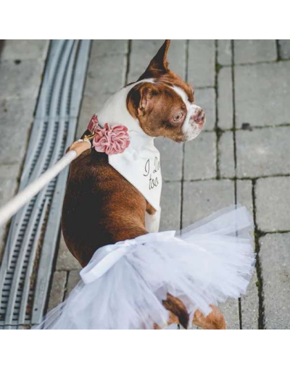 White - White Bridal Dog Tutu Skirt (XS) - XS