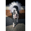 White - White Bridal Dog Tutu Skirt (XS) - XS