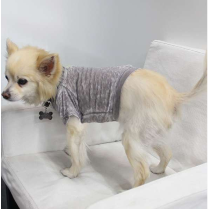 Coco - Doggy Tee - Large