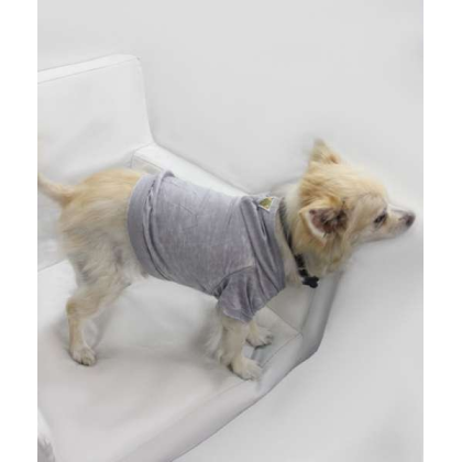 Asphalt - Doggy Hoodie - Medium