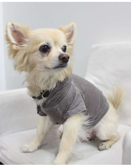 Coco - Doggy Hoodie - Large