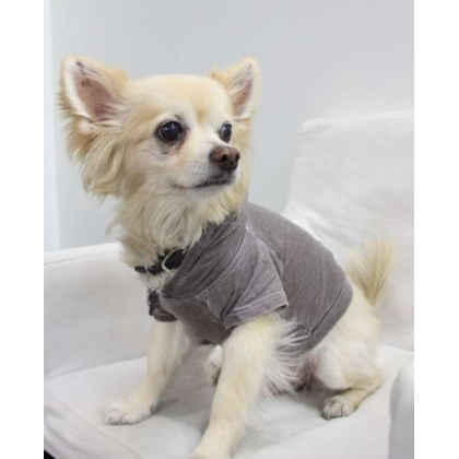 Coco - Doggy Hoodie - Small