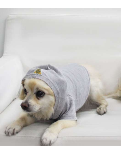 Asphalt - Doggy Hoodie French Terry - Large