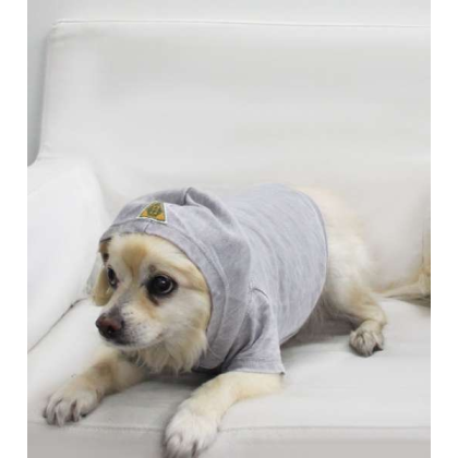 Asphalt - Doggy Hoodie French Terry - XS