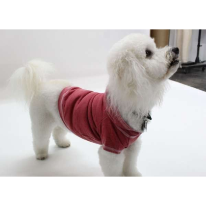 Brick - Doggy Hoodie French Terry - Large