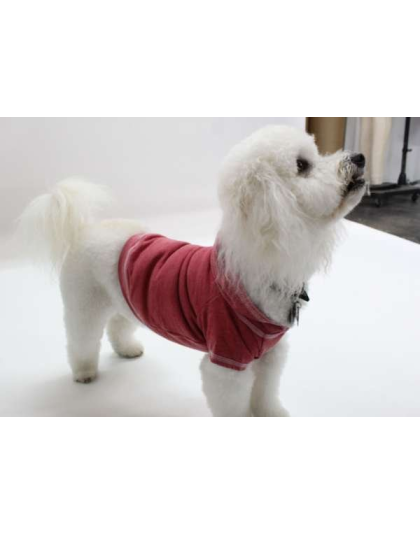 Brick - Doggy Hoodie French Terry - Large