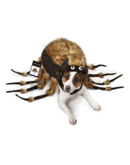 Brown - ZZ Fuzzy Tarantula Costume - Large