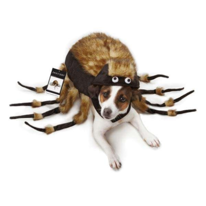 Brown - ZZ Fuzzy Tarantula Costume - Small