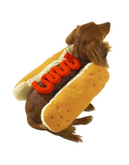 Mustard - Casual Canine Hot Diggity Dog Costume   - Large