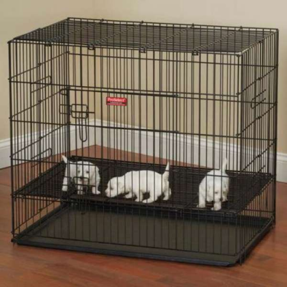 Black - ProSelect Puppy PlayPen with Plastic Pan - Medium