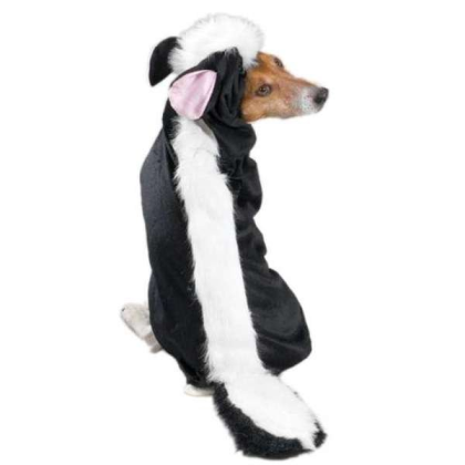 Casual Canine Lil' Stinker Costume  - Xsmall