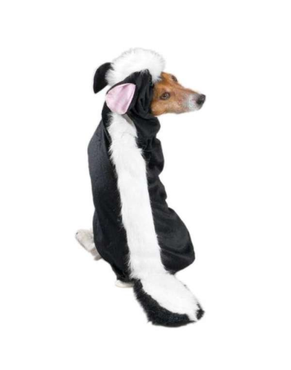 Casual Canine Lil' Stinker Costume  - Xsmall