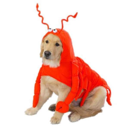 Casual Canine Lobster Paws Costume  - Small