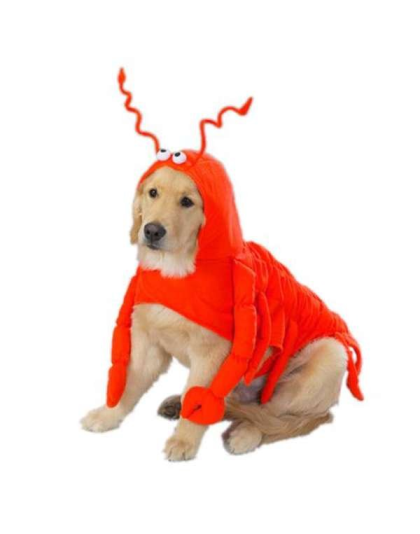 Casual Canine Lobster Paws Costume  - Small