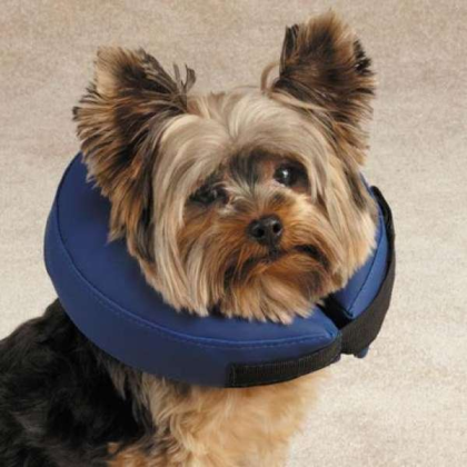 Blue - Total Pet Health Inflatable Collar  - XL