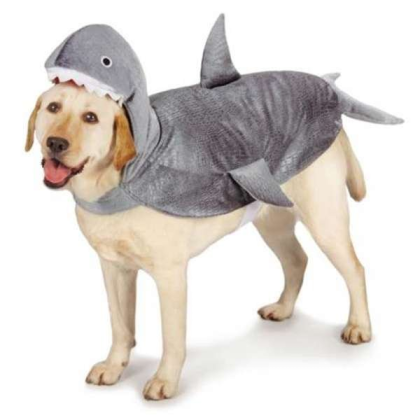 CC Shark Costume  - Large