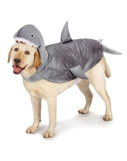 CC Shark Costume  - Large