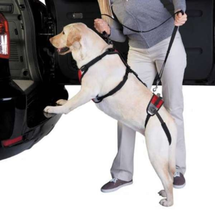 Red - Total Pet Health Lift & Go Lead - Small