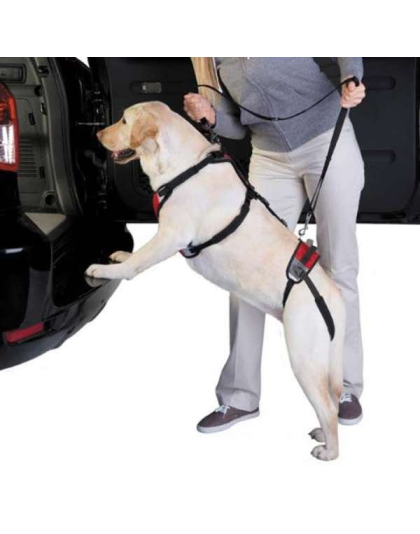 Red - Total Pet Health Lift & Go Lead - Small