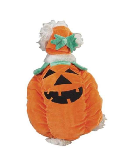 Orange - Zack & Zoey Pumpkin Pooch Costume - Medium