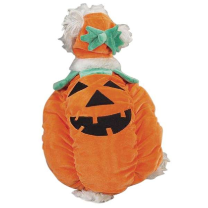 Orange - Zack & Zoey Pumpkin Pooch Costume - Xsmall