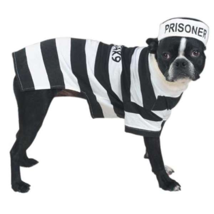 Casual Canine Prison Pooch Costume  - Small