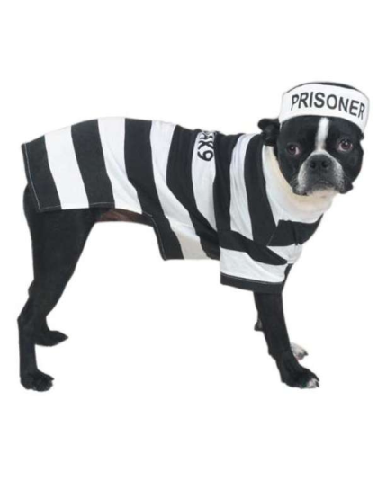 Casual Canine Prison Pooch Costume  - Small