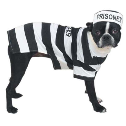 Casual Canine Prison Pooch Costume  - Large