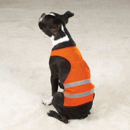 Orange - GG Safety Vest - Medium