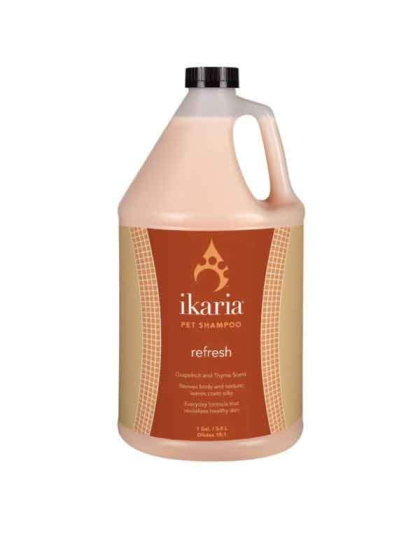 White - IK Shampoo Refresh Gallon - 1 Gallon