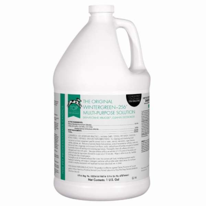 White - TP 256 Disinfectant Wintergreen Gallon - 1 Gallon