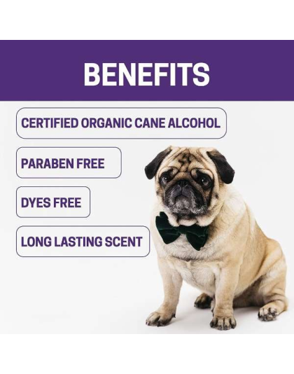 Purple - All-Natural Dog Cologne - 8 oz