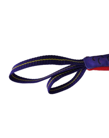 Purple/Red - Flyin' Fish Dog Toy