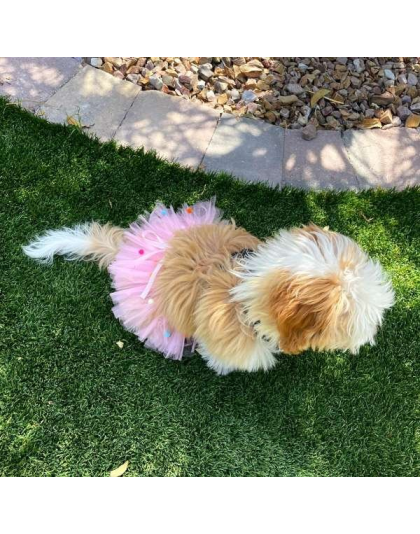 Pink - Pink Pom Pom Dog Tutu Skirt (Large) - Large