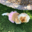 Pink - Pink Pom Pom Dog Tutu Skirt (Large) - Large